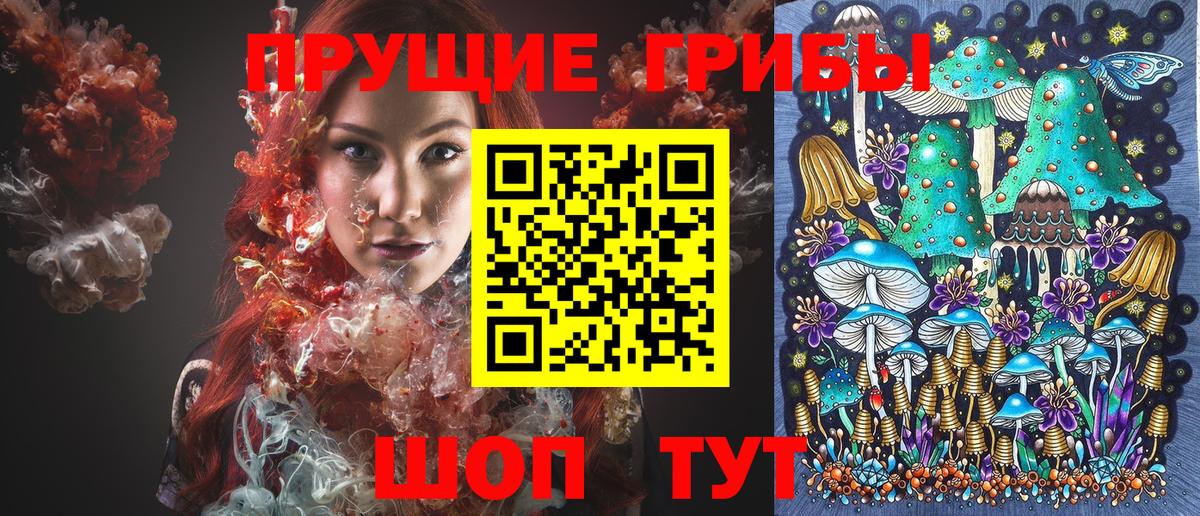 Норильск  Галлюциногенные грибы Psilocybine cubensis  наркошоп  Вход с VPN 